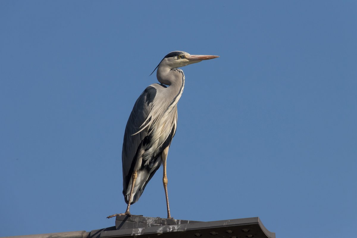 foto: [20220321PV6390]